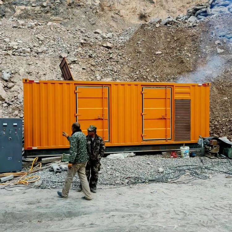 来凤如何选择适合自己的 800KW 柴油发电机组？